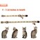 Barleygoo 2 Pack Glow in The Dark Cat Collar with Bell Breakaway Safety Cat Puppy Collars with Pendant Orange and Blue
