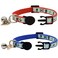 Barleygoo 2 Pack Glow in The Dark Cat Collar with Bell Breakaway Safety Cat Puppy Collars with Pendant Red and Blue