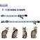 Barleygoo 2 Pack Glow in The Dark Cat Collar with Bell Breakaway Safety Cat Puppy Collars with Pendant Red and Blue