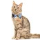 Lamphyface 2 PackSet Cat Collar Breakaway with Cute Bow Tie and Bell Plaid for Kitty Adjustable Safety