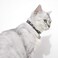 XPangle 2 PCS Breakaway Cat Collar with Bell Cute Adjustable Kitten Collars with Accessories Blue Black