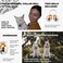 Beau's Bells Beaus Bells 2 Extra Loud Cat Dog Bells Pet Tracker Save Birds Wildlife Luxury Handmade Copper Large