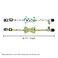Bnibol 2Pack Breakaway Cat Collars with Removable DoubleLayer Bow Tie and Bell for Boy and Girl CatsSafety Kitten Collars Suitable for Festivals and Daily LemonPineapple