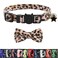 XPangle Bowtie Cat Collars Breakaway with Bell Adjustable Cute Kitty Collars Safety Buckle Kitten Collar for Cat Puppy 7511in 15