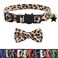 XPangle Bowtie Cat Collars Breakaway with Bell Adjustable Cute Kitty Collars Safety Buckle Kitten Collar for Cat Puppy 7511in 15