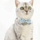XPangle Bowtie Cat Collars Breakaway with Bell Adjustable Cute Kitty Collars Safety Buckle Kitten Collar for Cat Puppy 7511in Light Blue Plaid
