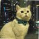 Pipidog Cat Collar Breakaway with Bell and Bow Tie Plaid Design Adjustable Safety Kitty Kitten Collars Set of 2 PCS68108in PinkCyan Plaid