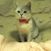 Pipidog Cat Collar with Bell and Bow Tie Breakaway Clasp Cute Dots Kitty Kitten Collar Set of 2 PCS68108in BlackRed Dots