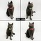 Cognatio Quick Release Cat Collars Fruit Patterned Kitten Collars with Removable Bell and Bow TiePack of 2 Adjustable 2030 cm