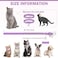 DILLYBUD Leather Cat Collars for Boy Girl Cats with Bell and Safety Elastic Belt Personalized Rivets Stud Adjustable Safe Buckle Collar with Skull Charm for Kitty Small Pets Halloween Cat Collar