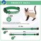 DILLYBUD Leather Personalized Breakaway Cat Collar with Studded Bell and Safety Quick Release Buckle Rivets Studded ID DIY Collars for Boy Girl Cats Kittens 9 115 Green
