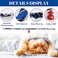 HACRAHO Cat Collar with Bell 1 Pack Blue Japanese Style Waves Print Pet Collar Adjustable Cat Collar with Fortune Bell for Small Cats Puppy Pets M