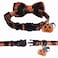 STMK 2 Pack Halloween Plaid Cat Collars with Bow Tie Bell Breakaway Adjustable Pumpkin Cat Kitten Collars with Bowtie Bell for Halloween Cats Kittens Costume Decorations