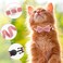 ZEEMIAS Breakaway Cat Collars with Bell 3 Pack Bow Tie Cute Pet Collar