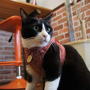 çŒ«å£± Ninja Cat Red Harness