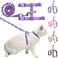 BEAUTYZOO Cat Harness and Leash Set Escape Proof for Walking Kitten Soft Adjustable Vest Harnesses for Small Medium Large Cats Easy Control Breathable Plaid Ribbon Nylon for Outdoor Indoor Use
