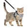 AVCCAVA Cat Harness and Leash for Walking Kitten Escape Proof Harnesses Adjustable Reflective Puppy Harness with Leashes Set Easy Adjustable Soft net Breathable Pet Safety Vest M Chest 12 14 Grey