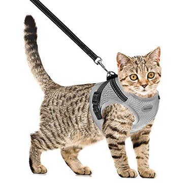 AVCCAVA Cat Harness and Leash for Walking Kitten Escape Proof Harnesses Adjustable Reflective Puppy Harness with Leashes Set Easy Adjustable Soft net Breathable Pet Safety Vest M Chest 12 14 Grey