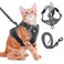 Coppthinktu Cat Harness and Leash for Walking Soft Cat Harness Escape Proof Adjustable Kitten Harness Cat Leash Reflective Strips Jacket Breathable Cat Vest Harness Set for Kitten Easy to Wear Outdoor