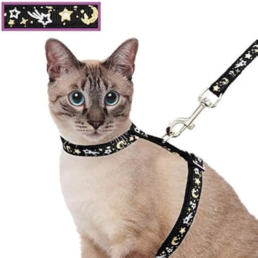 Barleygoo Cat Harness and Leash Set for Outdoor Walking Escape Proof Adjustable Soft Safety Strap with Golden Star and Moon Design Glow in The Dark Black