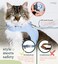 ROMP Cat Harness Collar Leash Set Escape Proof Adjustable Choke Free Velcro Harness Vest for Walking Cats Kittens Cotton Blue Small