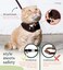 ROMP Cat Harness Collar Leash Set Escape Proof Adjustable Choke Free Velcro Harness Vest for Walking Cats Kittens Sable Brown Medium