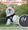 GAUTERF Cat Harnesses and Puppy Harness with Leashes Set Escape Proof Cat Harness Adjustable Reflective Soft Mesh Vest Fit Puppy Kitten Rabbit Ferretss Outdoor Harness
