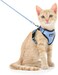 Dooradar Cat Harness and Leash Set Escape Proof Safe Adjustable Kitten Vest Harnesses for Walking Easy Control Soft Breathable Mesh Jacket with Reflective Strips for Cats Light Blue S