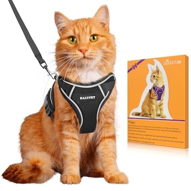 Halypet Cat Harness and Leash Set MAX Safety 4thGen Upgrade Escape Proof Adjustable Cat Leash Comfortable Soft Vest Easy to Wear Kitten Harness with Reflective Strip for Cats Walking M Black