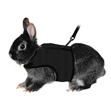 Hypeety Rabbit Kitten Harness Cat Leash for Small Animal Adjustable Soft Harness and Lead Set for Bunny Cat Little Pet Walking SChest591787 Black
