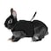 Hypeety Rabbit Kitten Harness Cat Leash for Small Animal Adjustable Soft Harness and Lead Set for Bunny Cat Little Pet Walking SChest591787 Black