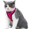 Mr. Peanut's Mr Peanuts PurrTrek Reflective Cat Harness with Matching Leash Small Pink
