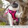Mr. Peanut's Mr Peanuts PurrTrek Reflective Cat Harness with Matching Leash Small Pink