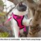 Mr. Peanut's Mr Peanuts PurrTrek Reflective Cat Harness with Matching Leash Small Pink