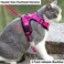 Mr. Peanut's Mr Peanuts PurrTrek Reflective Cat Harness with Matching Leash Small Pink