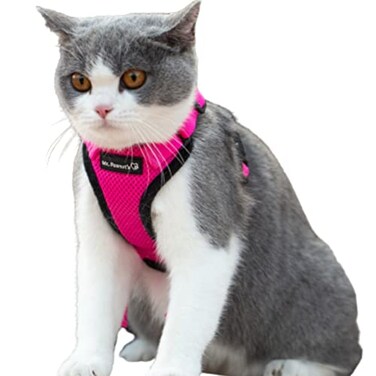 Mr. Peanut's Mr Peanuts PurrTrek Reflective Cat Harness with Matching Leash Small Pink