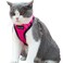 Mr. Peanut's Mr Peanuts PurrTrek Reflective Cat Harness with Matching Leash Small Pink