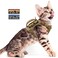 nanappice Tactical Cat Harness for Walking Escape ProofAdjustable Pet Vest HarnessSoft Mesh Padding Large CatSmall Dog with QuickRelease Buckle and Rubber Handle