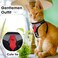 NCMAMA Cat Harness and Leash Set for Walking Escape Proof Soft Adjustable Kitten Harness Breathable Mesh with Reflective Strips Harness for Kitty Puppy BunnyBlackXS
