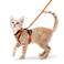 rabbitgoo Cat Harness and Leash for Walking Escape Proof Soft Adjustable Vest Harnesses for Cats Easy Control Breathable Reflective Strips Jacket Orange S