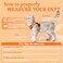 rabbitgoo Cat Harness and Leash for Walking Escape Proof Soft Adjustable Vest Harnesses for Cats Easy Control Breathable Reflective Strips Jacket Orange S