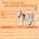 rabbitgoo Cat Harness and Leash for Walking Escape Proof Soft Adjustable Vest Harnesses for Cats Easy Control Breathable Reflective Strips Jacket Orange S