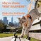 rabbitgoo Cat Harness and Leash for Walking Escape Proof Soft Adjustable Vest Harnesses for Cats Easy Control Breathable Reflective Strips Jacket Orange S