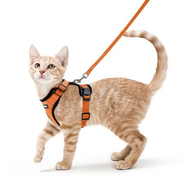 rabbitgoo Cat Harness and Leash for Walking Escape Proof Soft Adjustable Vest Harnesses for Cats Easy Control Breathable Reflective Strips Jacket Orange S