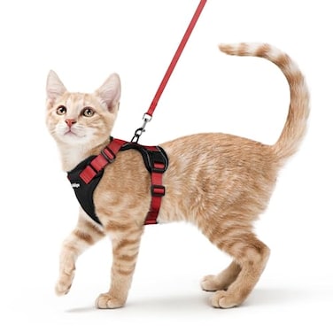 rabbitgoo Cat Harness and Leash Set Escape Proof Kitten Harness for Safe Outdoor Walks Soft Breathable Adjustable Vest with Reflective Strips for Kittens and Small Cats Black Red Xs