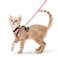 rabbitgoo Cat Harness and Leash Set Escape Proof Kitten Harness for Safe Outdoor Walks Soft Breathable Adjustable Vest with Reflective Strips for Kittens and Small Cats Light Salmon Pink Xs