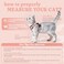 rabbitgoo Cat Harness and Leash Set Escape Proof Kitten Harness for Safe Outdoor Walks Soft Breathable Adjustable Vest with Reflective Strips for Kittens and Small Cats Light Salmon Pink Xs