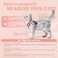 rabbitgoo Cat Harness and Leash Set Escape Proof Kitten Harness for Safe Outdoor Walks Soft Breathable Adjustable Vest with Reflective Strips for Kittens and Small Cats Light Salmon Pink Xs