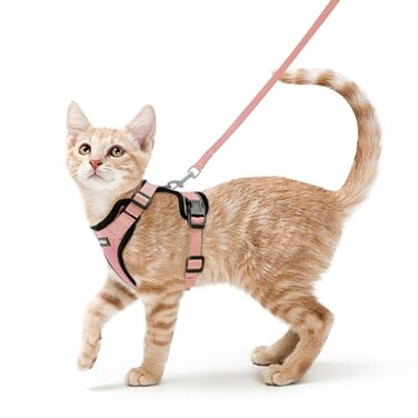 rabbitgoo Cat Harness and Leash Set Escape Proof Kitten Harness for Safe Outdoor Walks Soft Breathable Adjustable Vest with Reflective Strips for Kittens and Small Cats Light Salmon Pink Xs