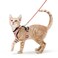 rabbitgoo Cat Harness and Leash Set Escape Proof Kitten Harness for Safe Outdoor Walks Soft Breathable Adjustable Vest with Reflective Strips for Kittens and Small Cats Light Salmon Pink Xs